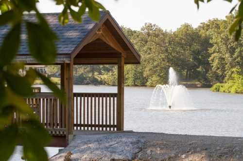 Litchfield Park Logo Graphic.3