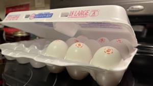 FRESH program would provide one-time SNAP cash; critics question cost