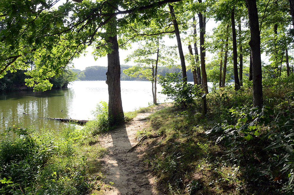 Hiking Trails