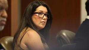 Illinois senators scrutinize diversity commission’s high salaries, poor performance