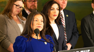 GOP seeks probe of $180B in fraud with taxpayers' money