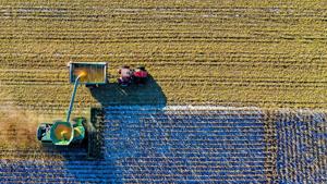 ‘Farm Bill’ may ease cost burden for farmers; Ag groups urge US Senate action