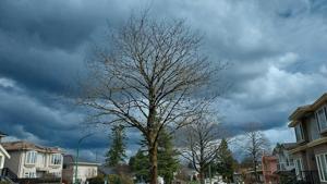 Illinois Quick Hits: NWS confirms more Illinois tornadoes