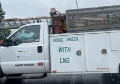 U.S. LNG exports hit new high as Turkey buys big