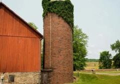 U.S. rep.: Mexico still not delivering water to South Texas, despite claims