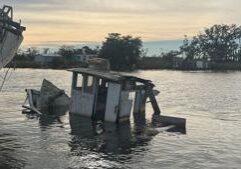 Regulator: LNG expansion likely to affect rare marsh bird