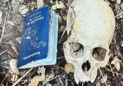 Texas sheriff proposes bipartisan solution to border issue